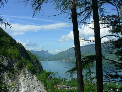 Holiday house at the Attersee - Environment photo 23