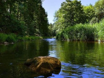 Villa Villa Rotschoenberg im Tal der Freiberger Mulde - Environment photo 29