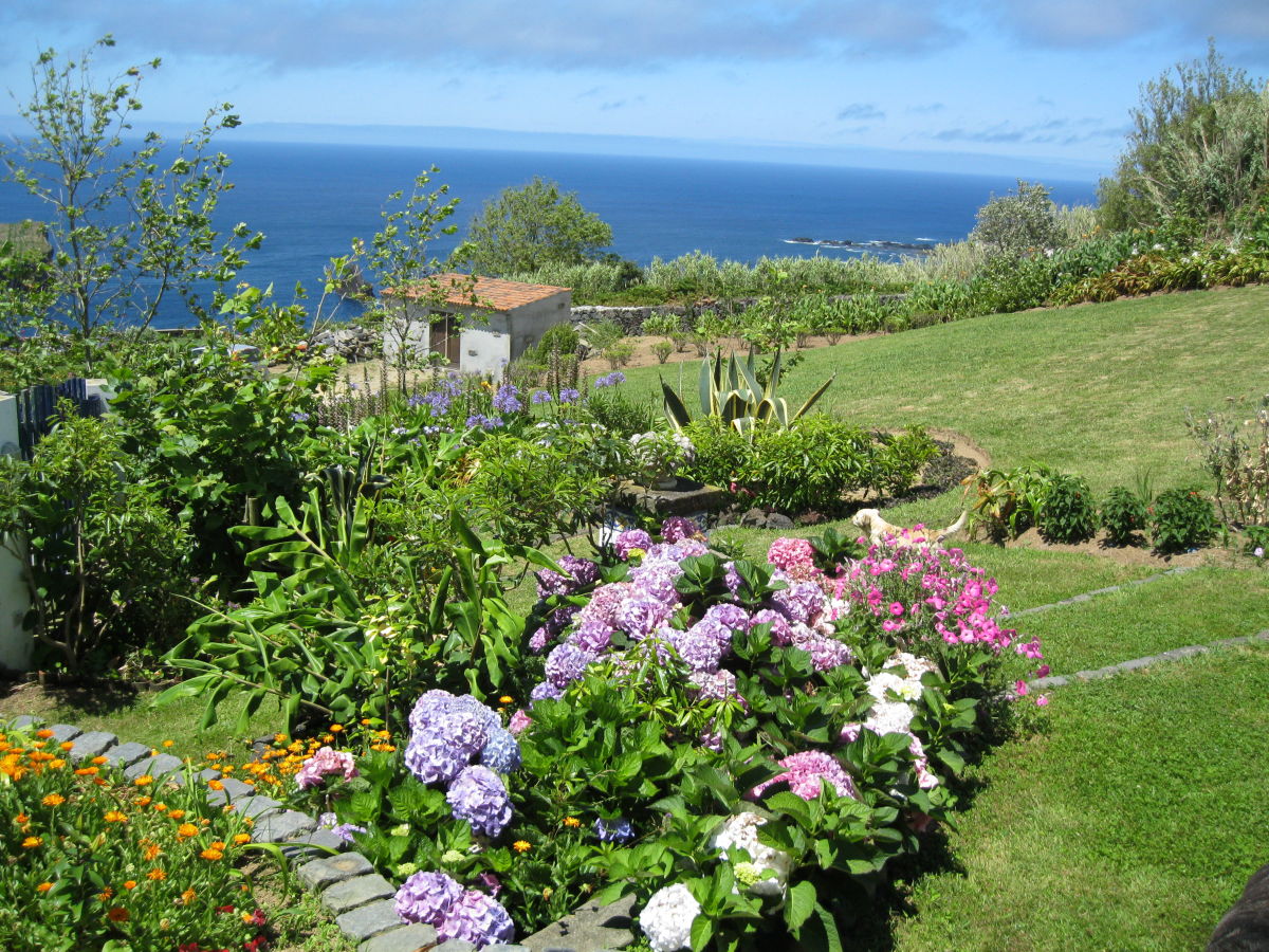 Chalet Casa Petunia - Outdoor photo 2