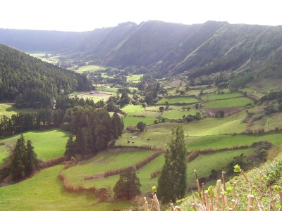 Chalet Casa Petunia - Environment photo 23