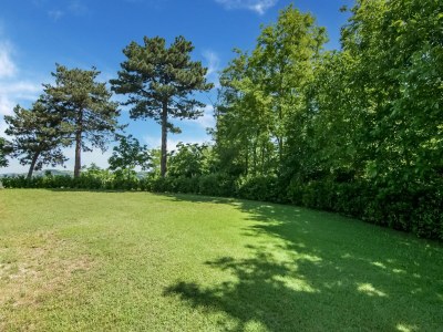 Villa Villa in Tavoleto mit Pool - Outdoor photo 10