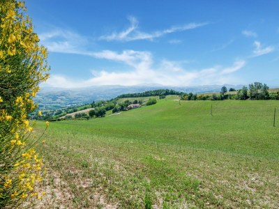 Villa Villa in Tavoleto mit Pool - Environment photo 38