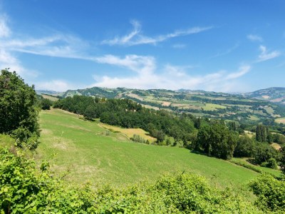 Villa Villa in Tavoleto mit Pool - Environment photo 39