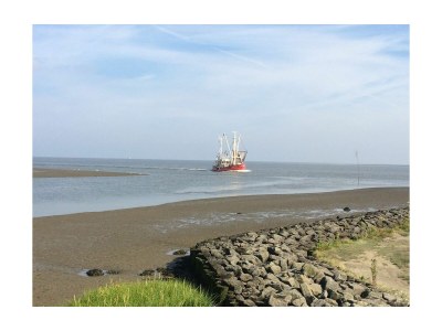 Holiday apartment - No title - 1 - Environment photo 19