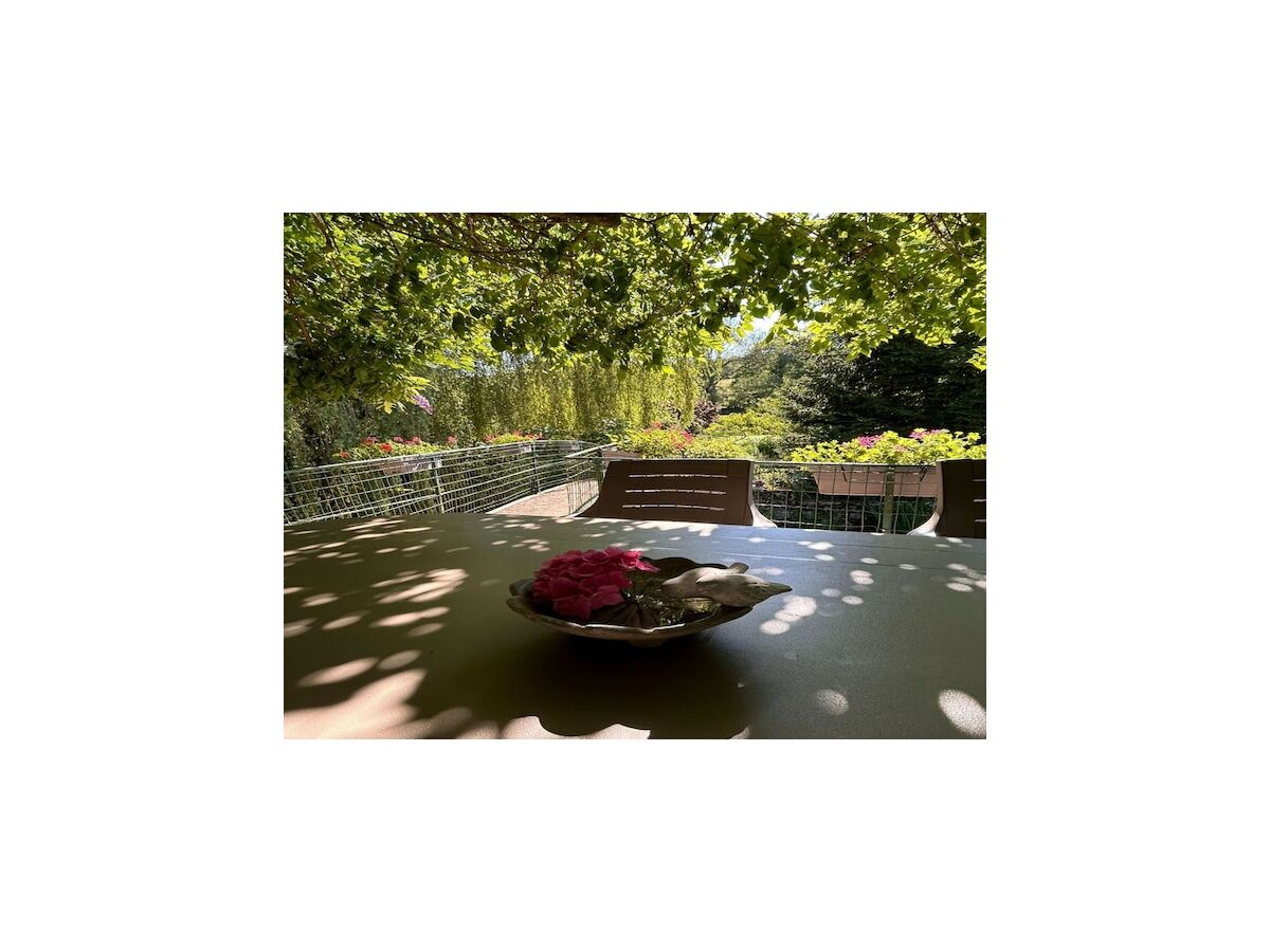 Holiday house Retreat in Bligny-sur-Ouche - Outdoor photo 4