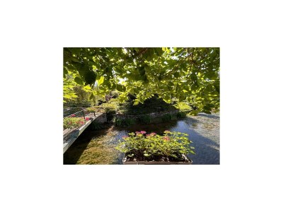 Holiday house Retreat in Bligny-sur-Ouche - Outdoor photo 18