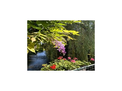 Holiday house Retreat in Bligny-sur-Ouche - Environment photo 37