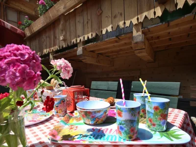 Holiday house Berghütte - Outdoor photo 8