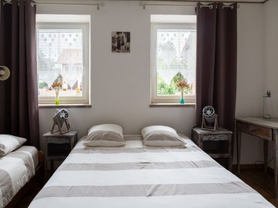 Holiday house 4-Bedroom Alsace Retreat - Features photo 9