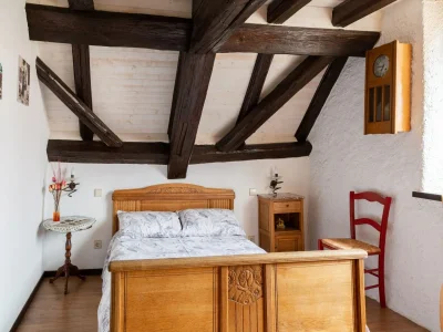 Holiday house 4-Bedroom Alsace Retreat - Features photo 20