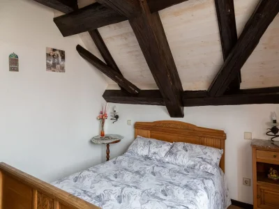 Holiday house 4-Bedroom Alsace Retreat - Features photo 22