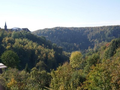 Holiday house 4-Bedroom Alsace Retreat - Environment photo 33