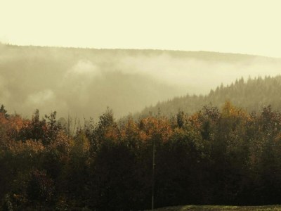 Holiday house 4-Bedroom Alsace Retreat - Environment photo 38