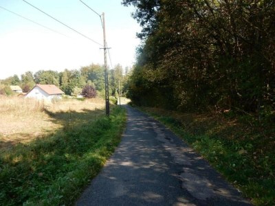 Holiday house 4-Bedroom Alsace Retreat - Environment photo 40