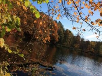 Villa Villa Rotschoenberg im Tal der Freiberger Mulde - Environment photo 30