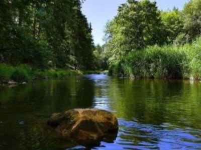 Villa Villa Rotschoenberg im Tal der Freiberger Mulde - Environment photo 32