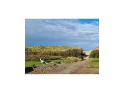 Apartment Penthouse "Sunside" Buren - Environment photo 24