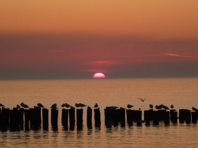 Holiday house DO08 Holiday Home Domburg - Environment photo 25