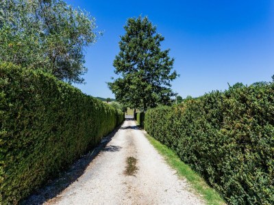 Apartment Cozy Stay with Scenic Views - Features photo 24