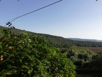 Apartment Cozy Stay with Scenic Views - Environment photo 37