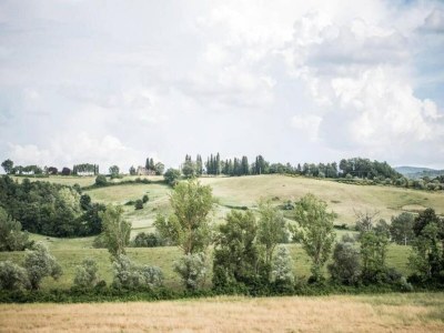 Apartment Tuscan Escape for Families - Environment photo 33