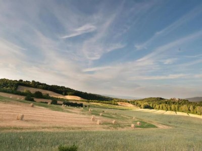 Apartment Tuscan Escape for Families - Environment photo 34
