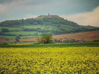 Apartment Tuscan Escape for Families - Environment photo 35