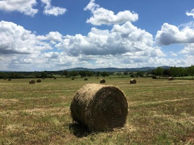 Apartment Tuscan Escape for Families - Environment photo 40
