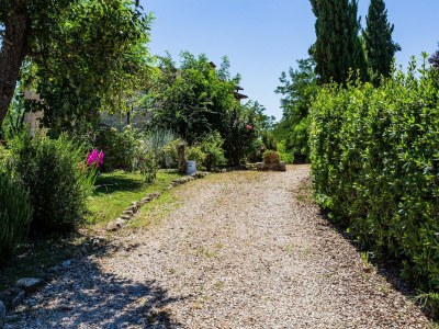 Apartment Tuscan Countryside Stay - Outdoor photo 10