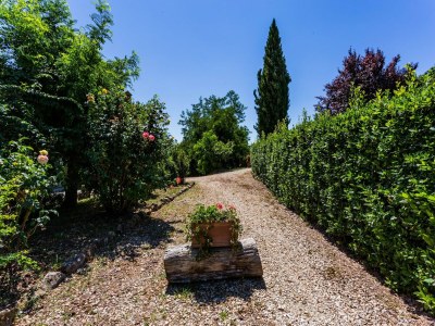 Apartment Tuscan Countryside Stay - Outdoor photo 14