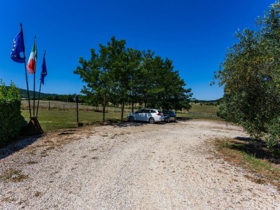 Apartment Tuscan Countryside Stay - Environment photo 32