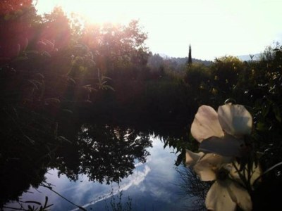 Apartment Tuscan Countryside Stay - Environment photo 34