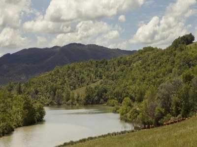 Apartment Tuscan Countryside Stay - Environment photo 35