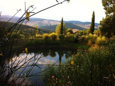 Apartment Tuscan Countryside Stay - Environment photo 36