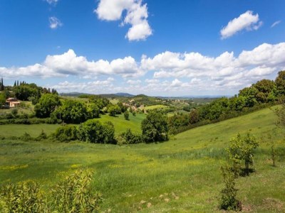 Apartment Tuscan Countryside Stay - Environment photo 38