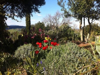 Apartment Tuscan Countryside Stay - Environment photo 39