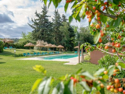 Holiday apartment Apartment with pool, Etruscan Coast - Outdoor photo 4