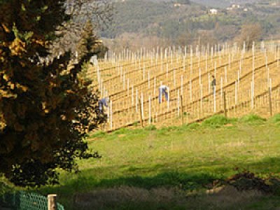 Holiday apartment Apartment with pool, Etruscan Coast - Environment photo 19