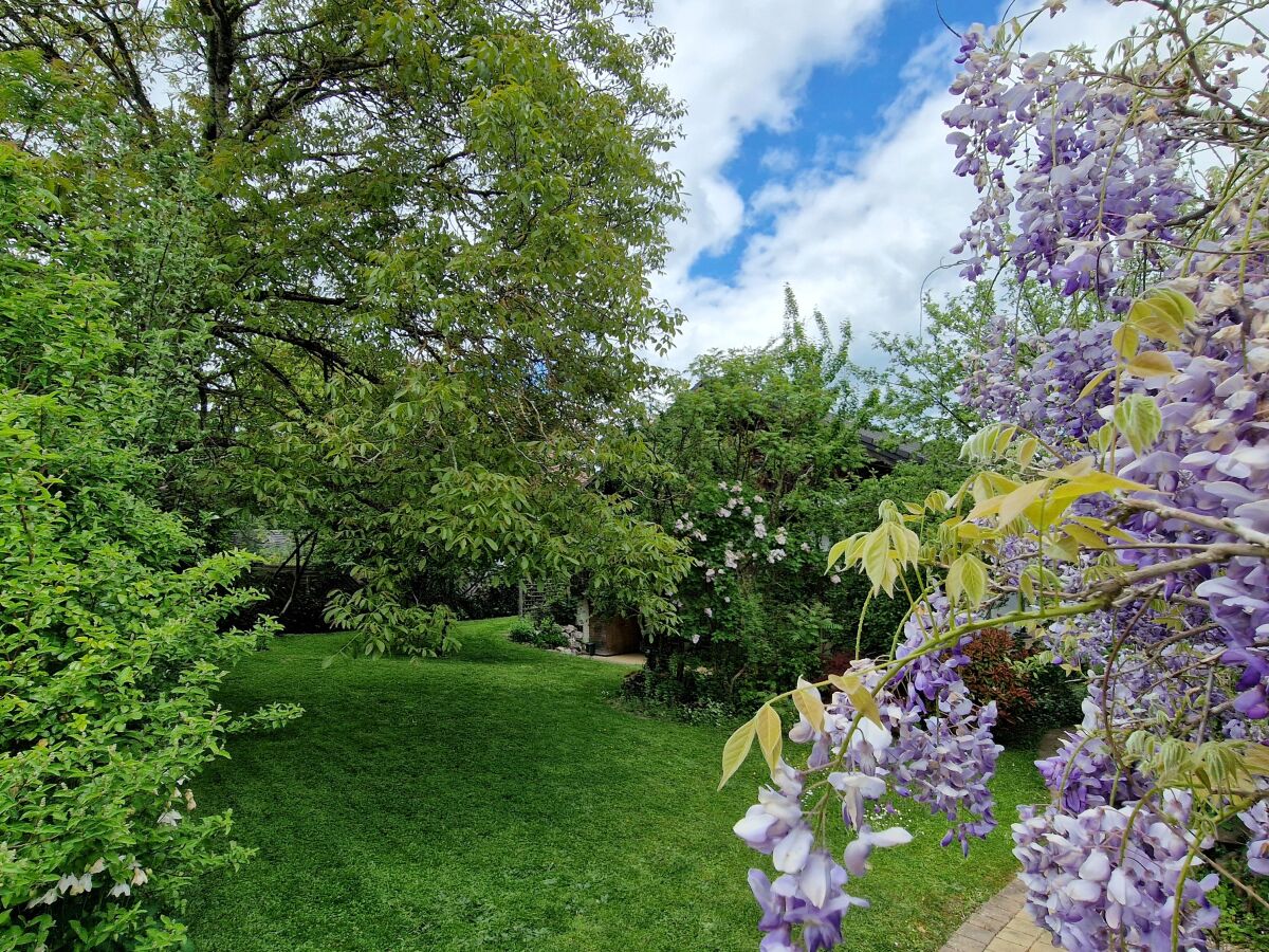 Holiday house Walnut House - Outdoor photo 4