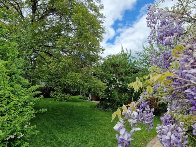 Holiday house Walnut House - Outdoor photo 4