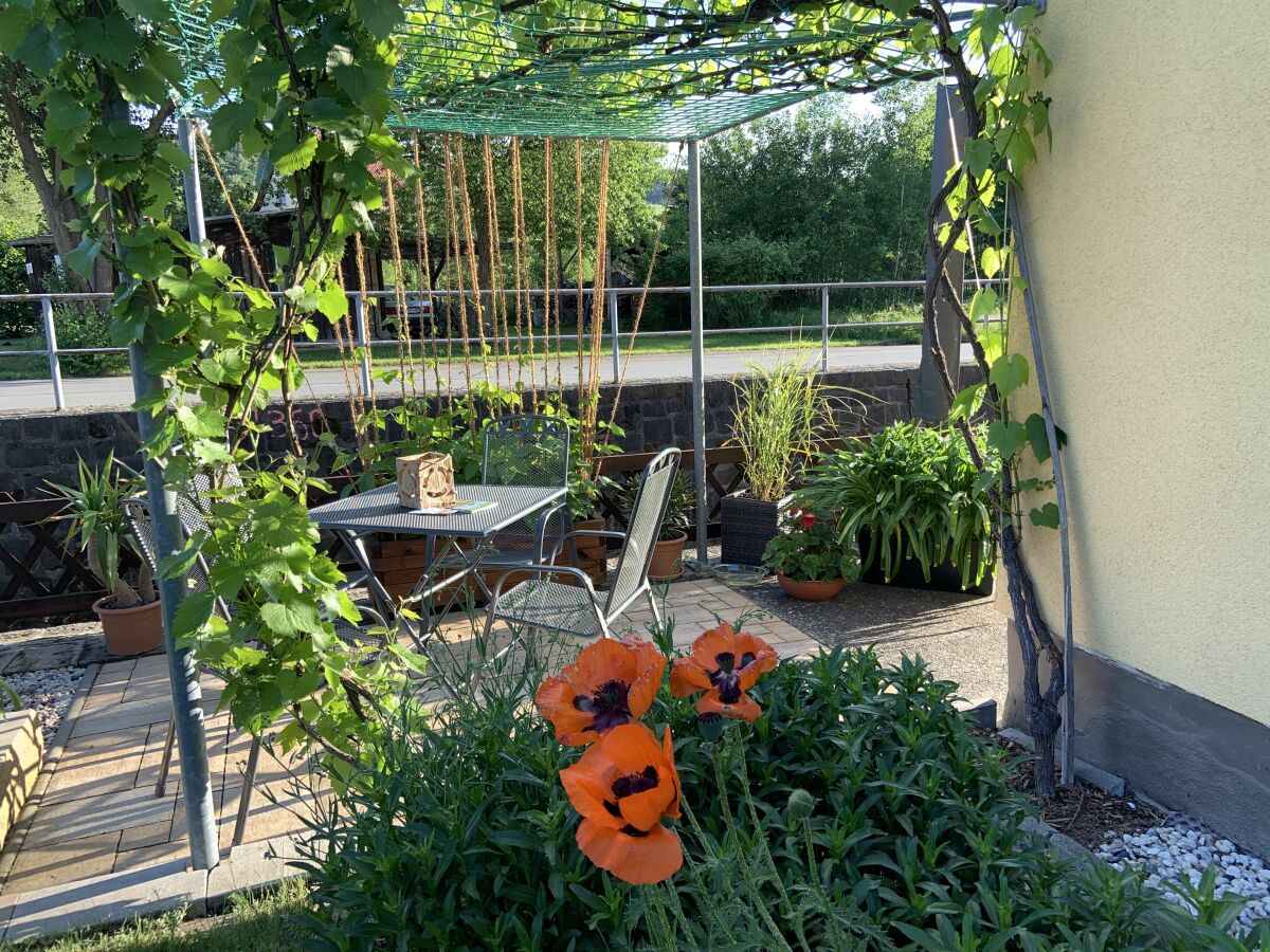 Holiday apartment "Am Holundergrund" - Outdoor photo 3