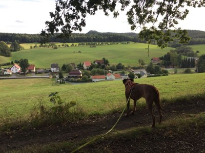 Holiday apartment "Am Holundergrund" - Outdoor photo 6