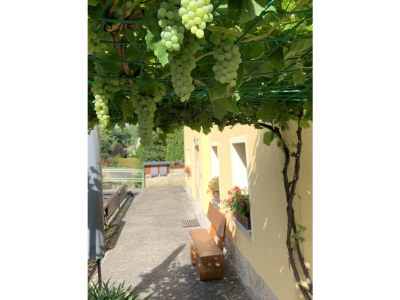 Holiday apartment "Am Holundergrund" - Outdoor photo 9