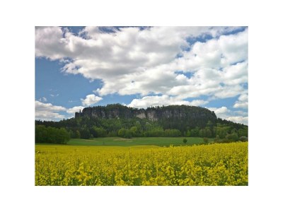 Holiday apartment "Am Holundergrund" - Environment photo 31