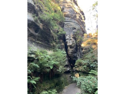 Holiday apartment "Am Holundergrund" - Environment photo 36