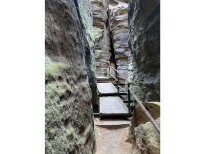 Holiday apartment "Am Holundergrund" - Environment photo 39