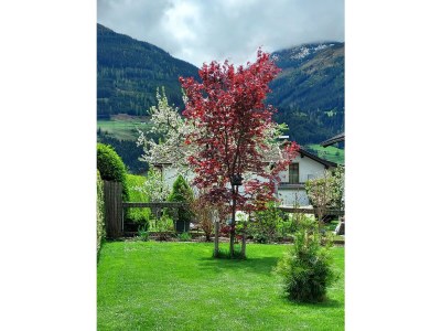 Holiday apartment Steindorf-Au - Outdoor photo 7