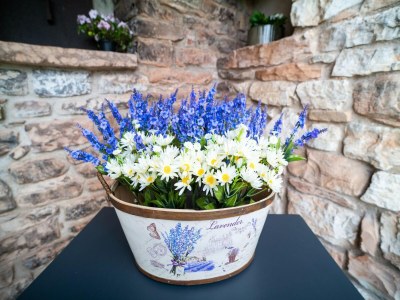 Holiday house Wohnung im Furlo mit Salzwasserpool - Outdoor photo 34