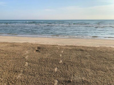 Cottage Holiday Home in Senigallia with Garden BBQ - Environment photo 26