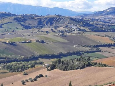 Holiday house Holiday Home in Cossignano with Pool - Environment photo 30